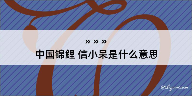 中国锦鲤 信小呆是什么意思